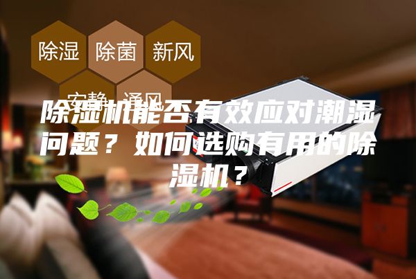 除湿机能否有效应对潮湿问题？如何选购有用的除湿机？