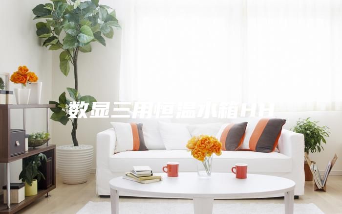 数显三用恒温水箱HH