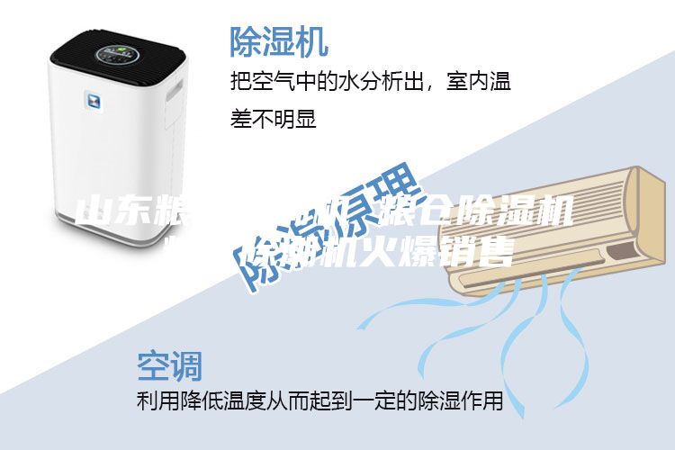 山东粮仓除潮机 粮仓除湿机 粮仓除潮机火爆销售