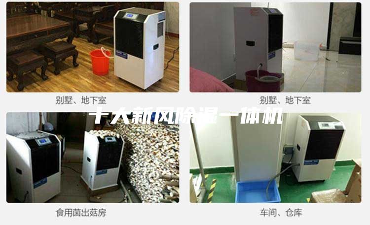 十大新风除湿一体机
