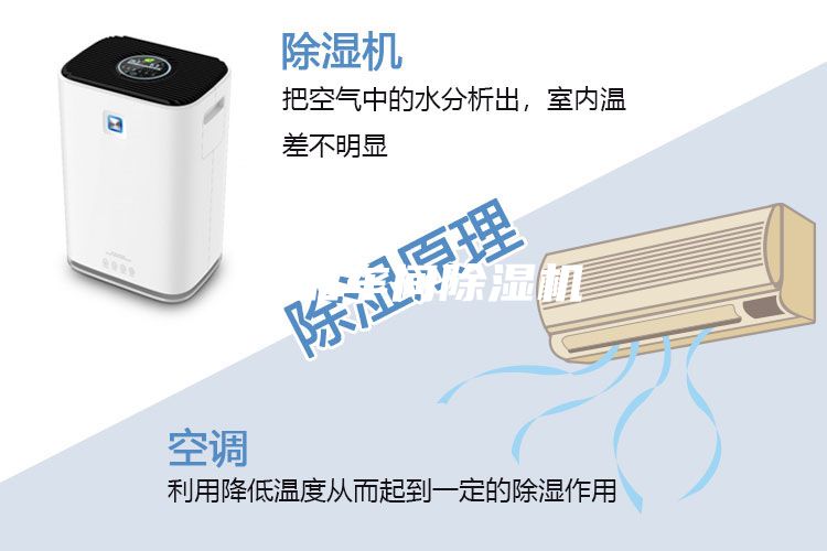 食品车间除湿机