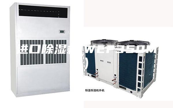 进口除湿机(WEF350M)