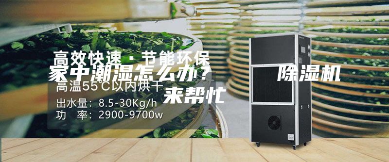 家中潮湿怎么办？    除湿机来帮忙