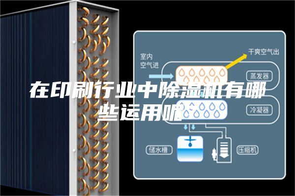 在印刷行业中除湿机有哪些运用呢？