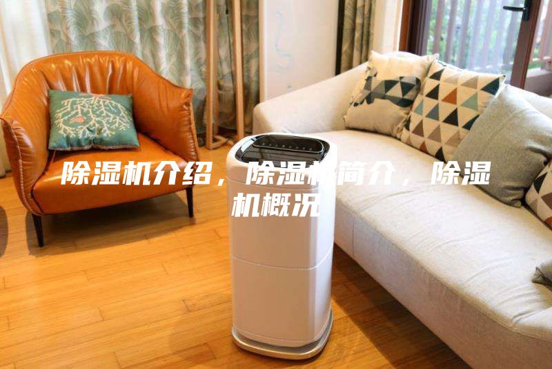 除湿机介绍，除湿机简介，除湿机概况