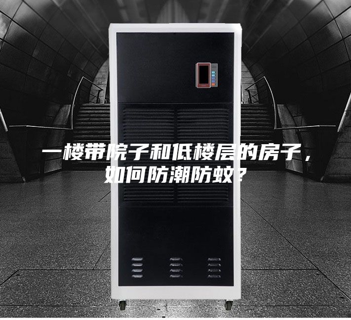一楼带院子和低楼层的房子，如何防潮防蚊？