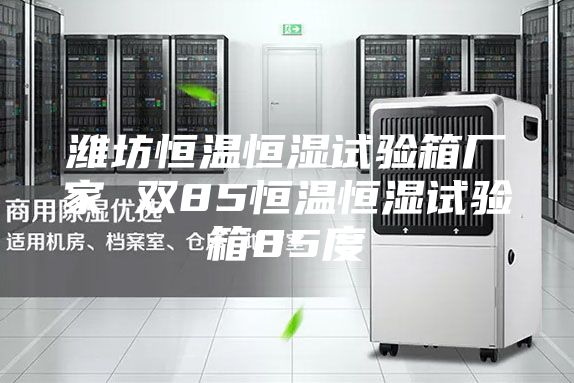 潍坊恒温恒湿试验箱厂家 双85恒温恒湿试验箱85度