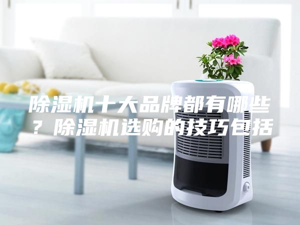 除湿机十大品牌都有哪些？除湿机选购的技巧包括