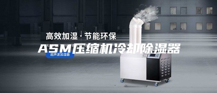 ASM压缩机冷却除湿器