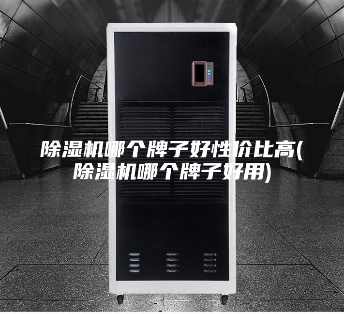 除湿机哪个牌子好性价比高(除湿机哪个牌子好用)