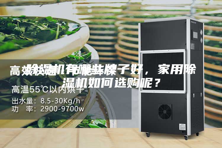 除湿机有哪些牌子好，家用除湿机如何选购呢？