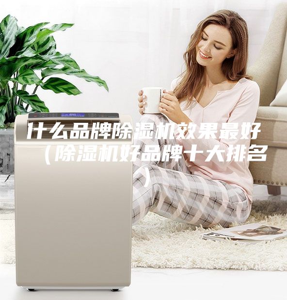 什么品牌除湿机效果最好（除湿机好品牌十大排名）