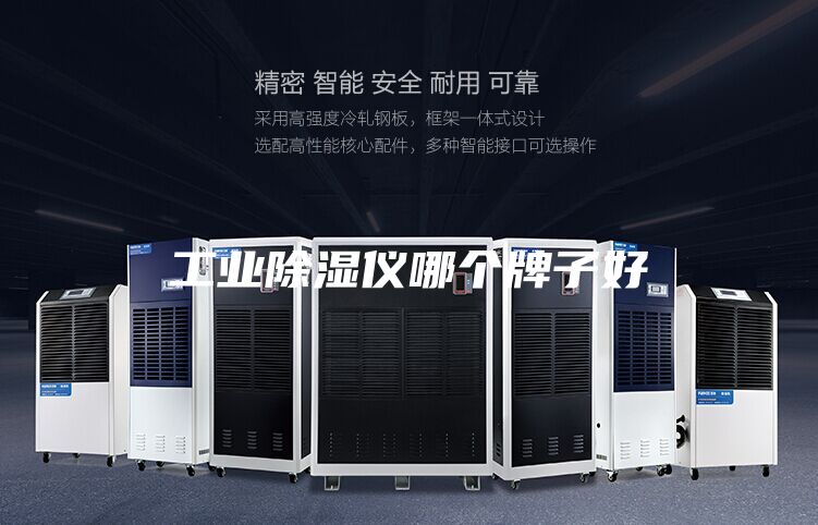 工业除湿仪哪个牌子好