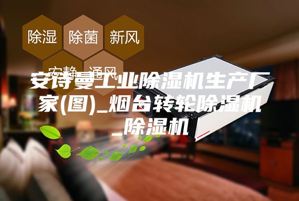 安诗曼工业除湿机生产厂家(图)_烟台转轮除湿机_除湿机