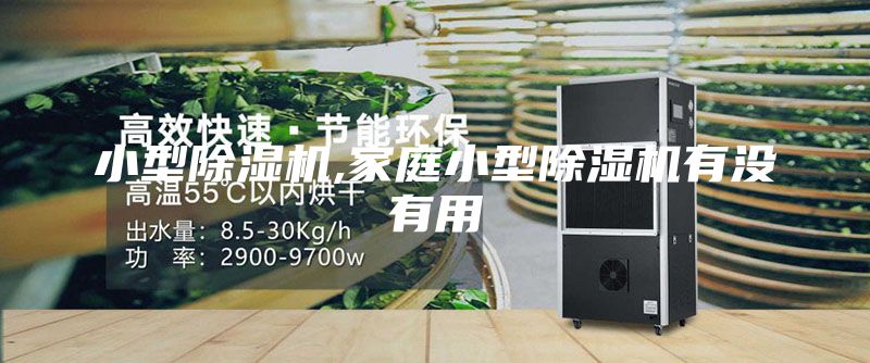小型除湿机,家庭小型除湿机有没有用