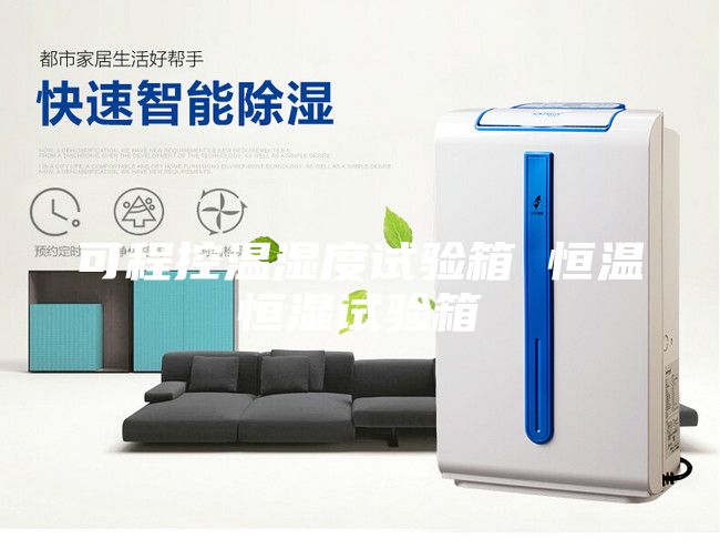 可程控温湿度试验箱 恒温恒湿试验箱
