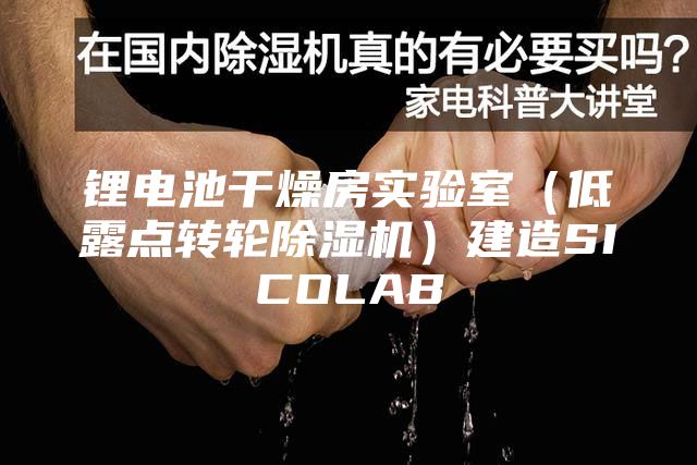 锂电池干燥房实验室（低露点转轮除湿机）建造SICOLAB