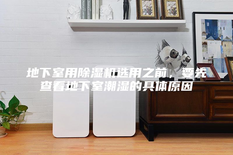 地下室用除湿机选用之前,要先查看地下室潮湿的具体原因