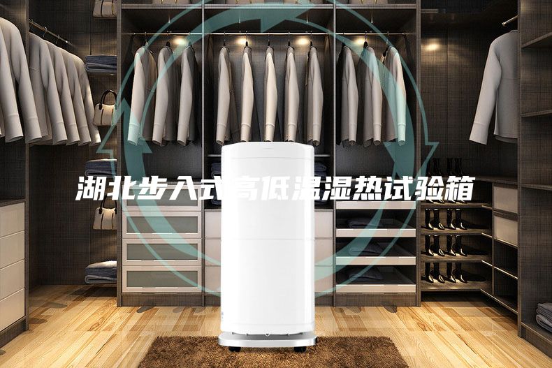 湖北步入式高低温湿热试验箱
