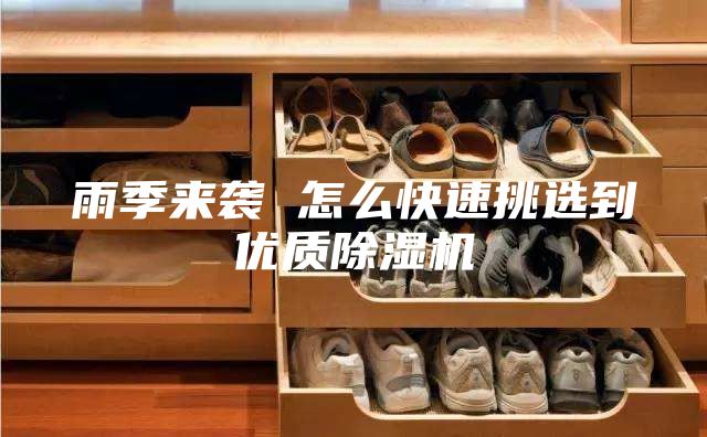 雨季来袭 怎么快速挑选到优质除湿机