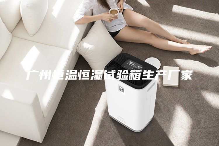 广州恒温恒湿试验箱生产厂家