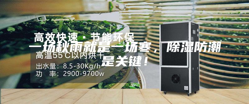 一场秋雨就是一场寒，除湿防潮是关键！