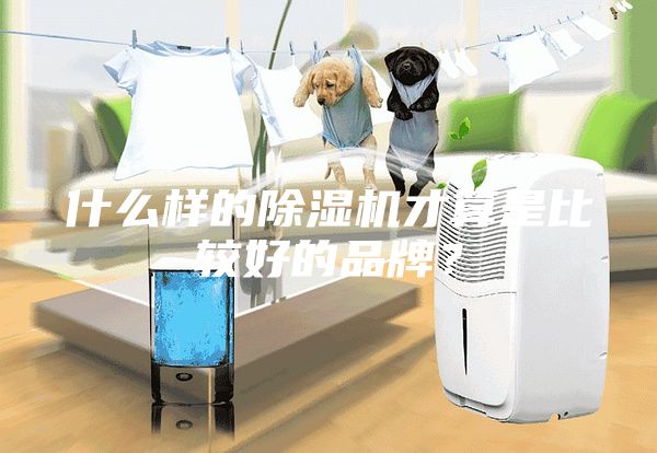 什么样的除湿机才算是比较好的品牌？