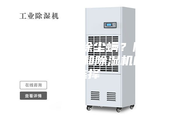 如何正确清除尘螨？除螨仪、干衣机和除湿机的好选择