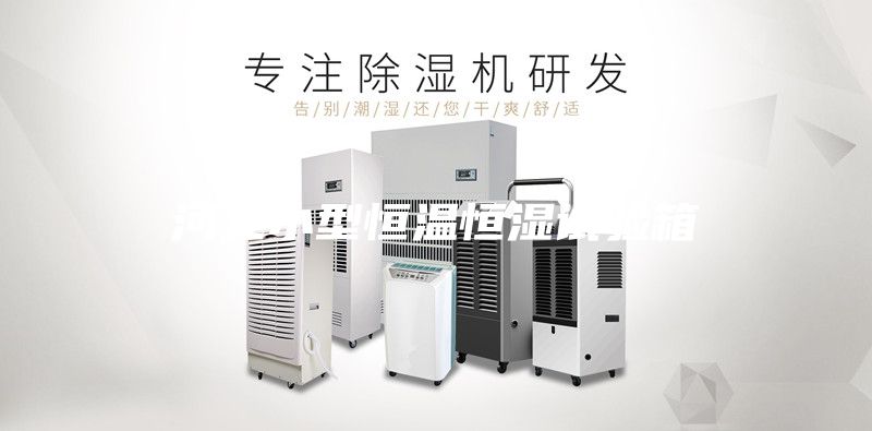 河北小型恒温恒湿试验箱