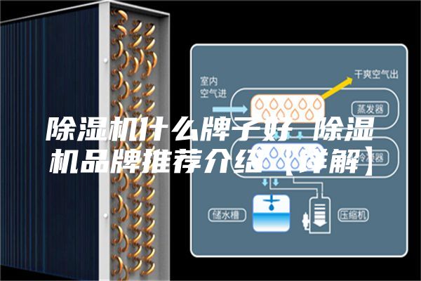 除湿机什么牌子好 除湿机品牌推荐介绍【详解】