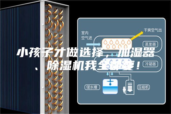小孩子才做选择，加湿器、除湿机我全都要！