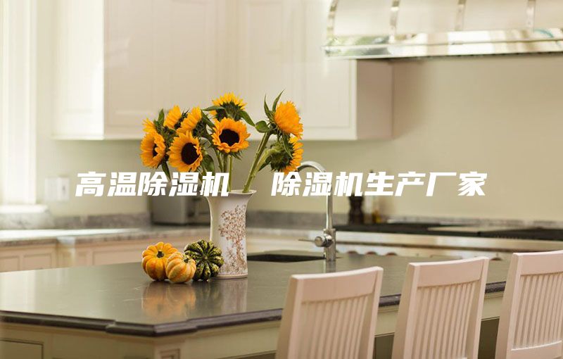 高温除湿机  除湿机生产厂家