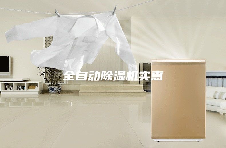 全自动除湿机实惠