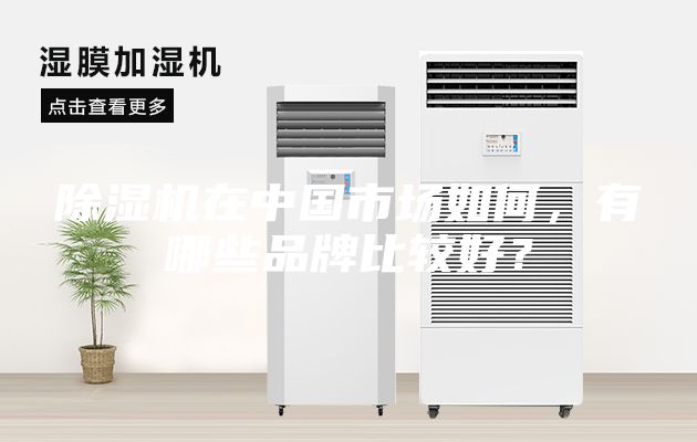 除湿机在中国市场如何，有哪些品牌比较好？