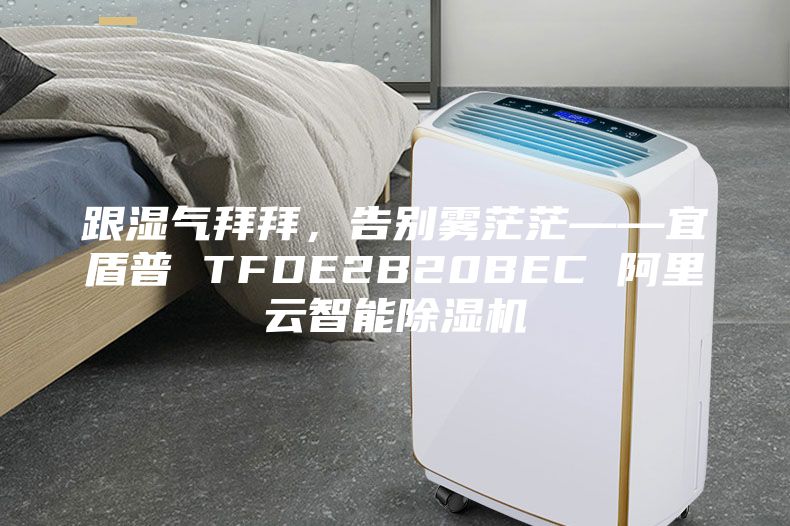跟湿气拜拜，告别雾茫茫——宜盾普 TFDE2B20BEC 阿里云智能除湿机