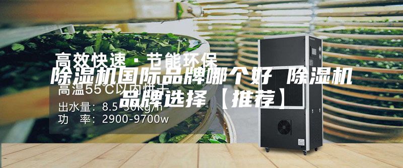 除湿机国际品牌哪个好 除湿机品牌选择【推荐】