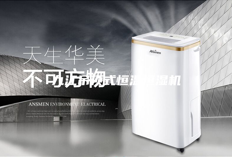 九江吊顶式恒温恒湿机