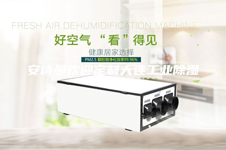 安诗曼欢迎定制大连工业除湿机