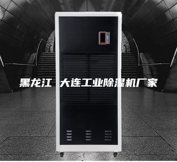 黑龙江 大连工业除湿机厂家