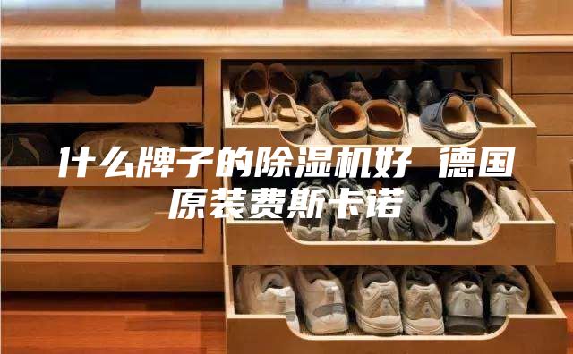 什么牌子的除湿机好 德国原装费斯卡诺