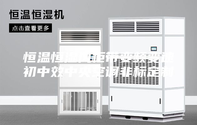 恒温恒湿风柜带变频变速初中效中央空调非标定制