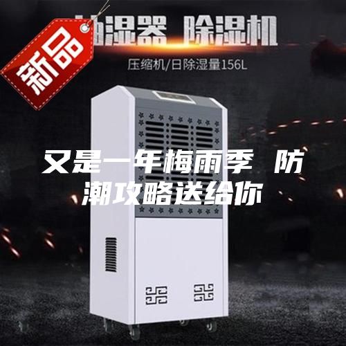 又是一年梅雨季 防潮攻略送给你