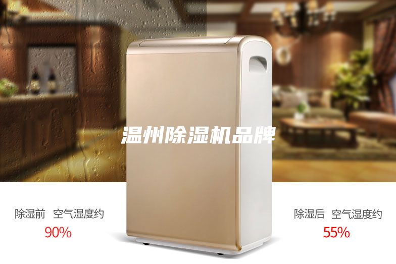 温州除湿机品牌