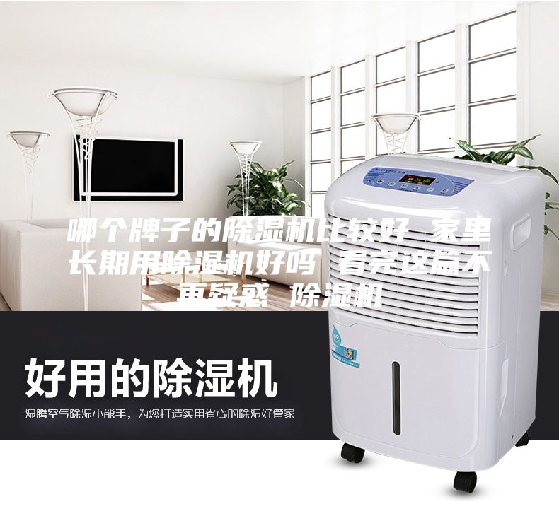 哪个牌子的除湿机比较好 家里长期用除湿机好吗 看完这篇不再疑惑 除湿机