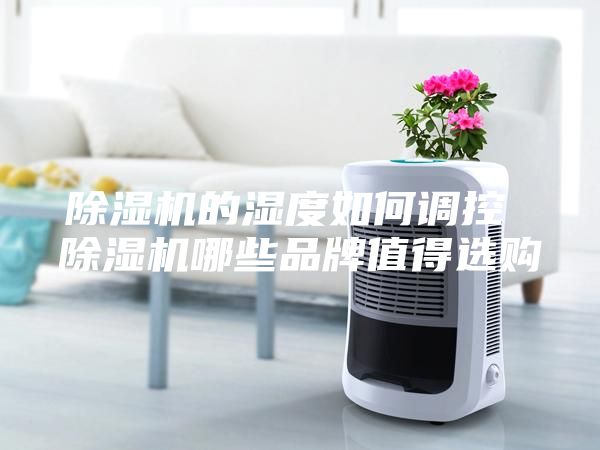 除湿机的湿度如何调控 除湿机哪些品牌值得选购