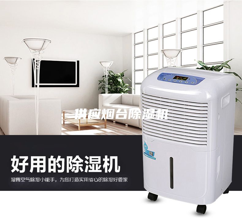 供应烟台除湿机