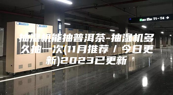 抽湿机能抽普洱茶-抽湿机多久抽一次(11月推荐／今日更新)2023已更新