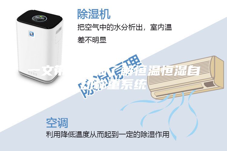 一文带您详细了解恒温恒湿自动称重系统