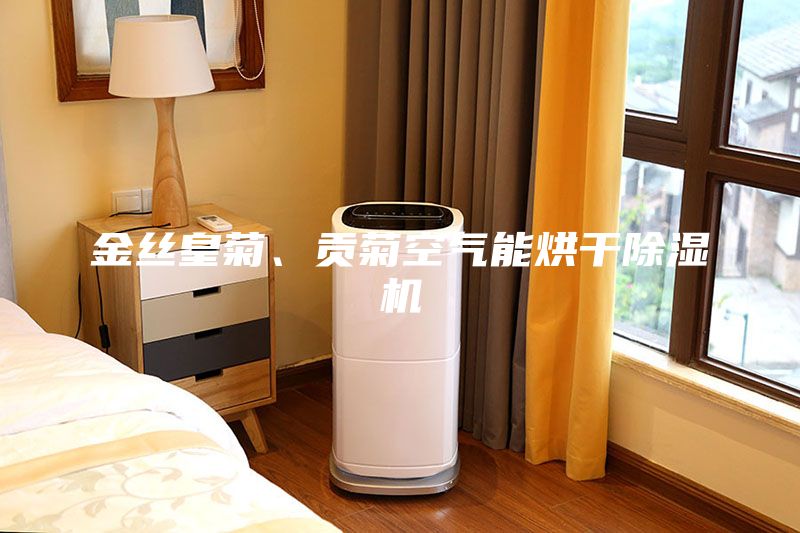 金丝皇菊、贡菊空气能烘干除湿机