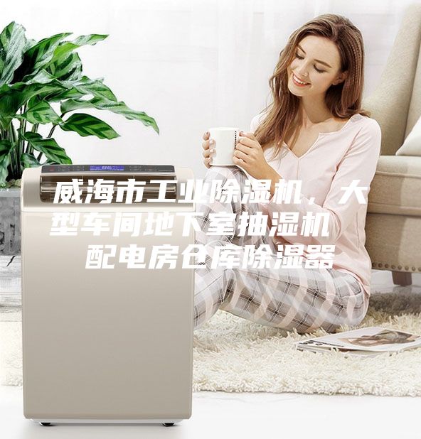 威海市工业除湿机，大型车间地下室抽湿机  配电房仓库除湿器